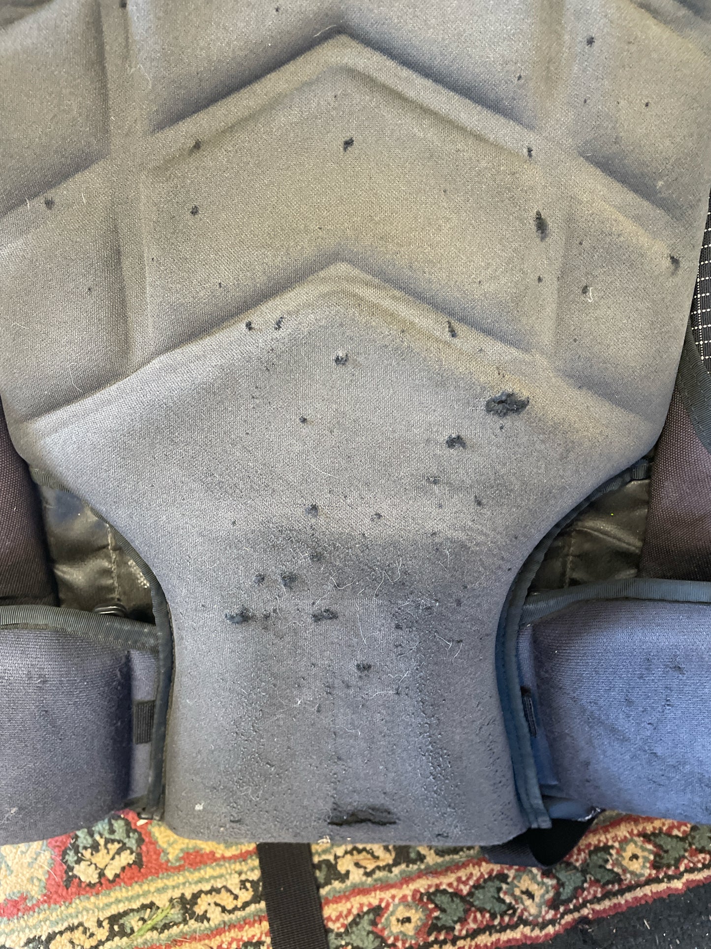 Gregory Flo Form ll Backpack