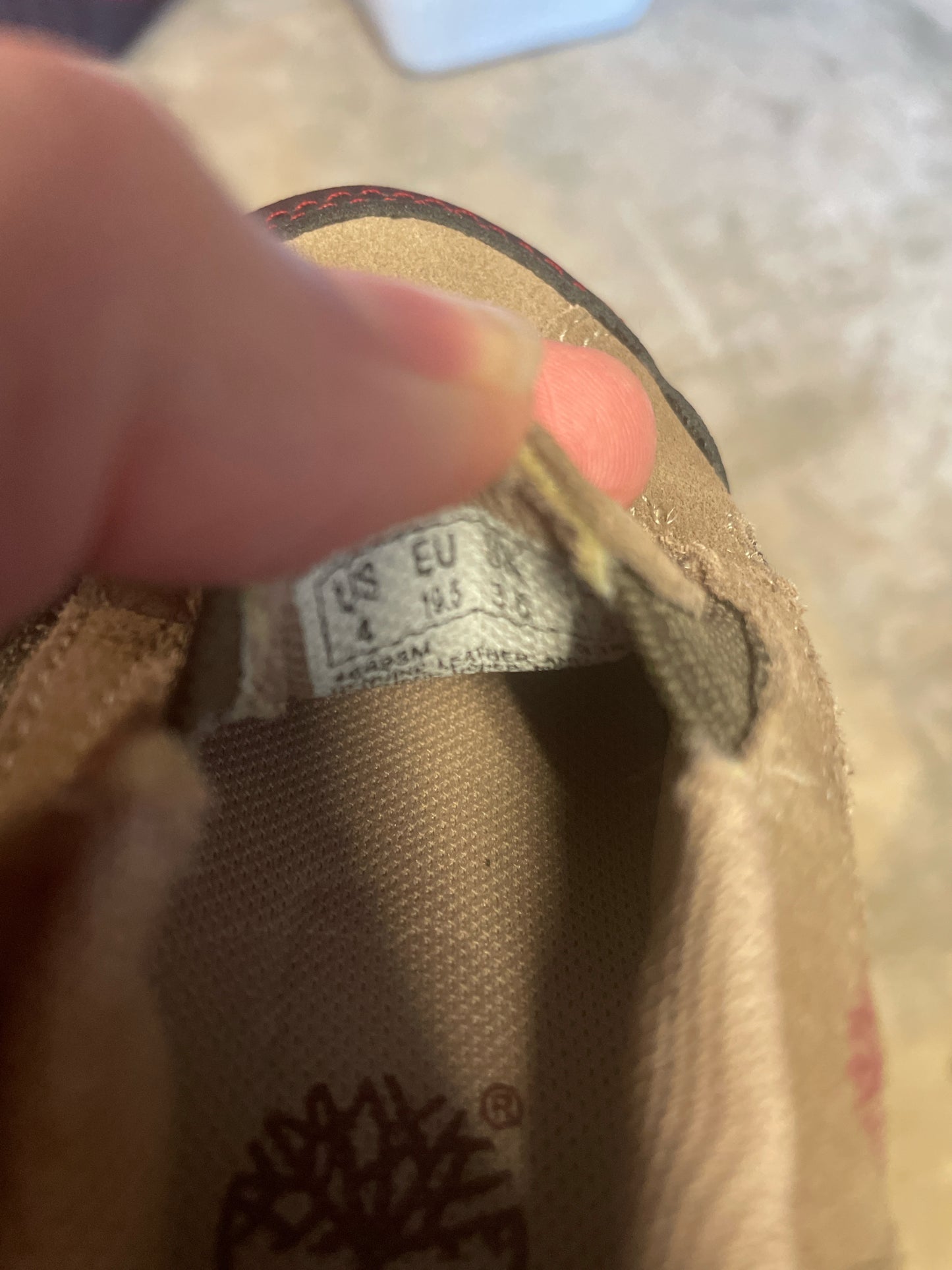 Timberland Hiking Shoes Kid's 4