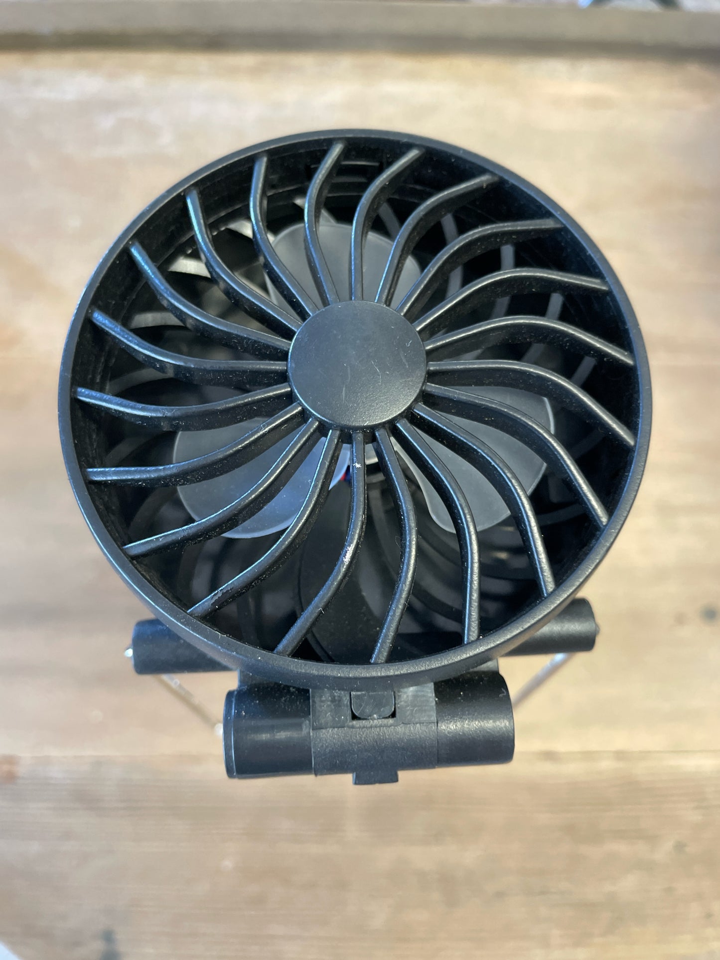 Lantern/Fan