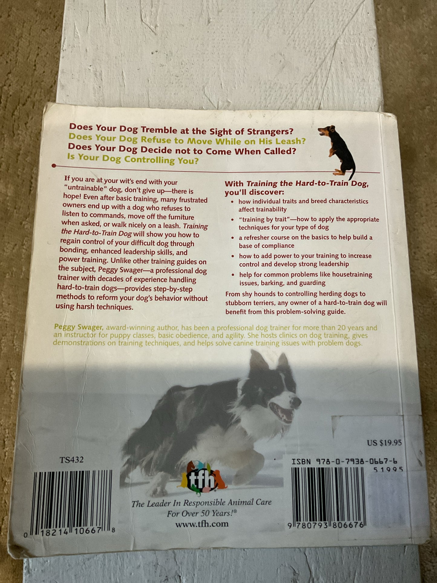 Training the Hard to Train Dog