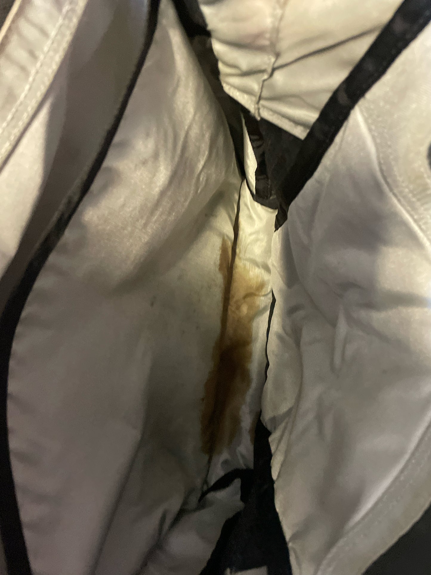 Patagonia 30L Backpack