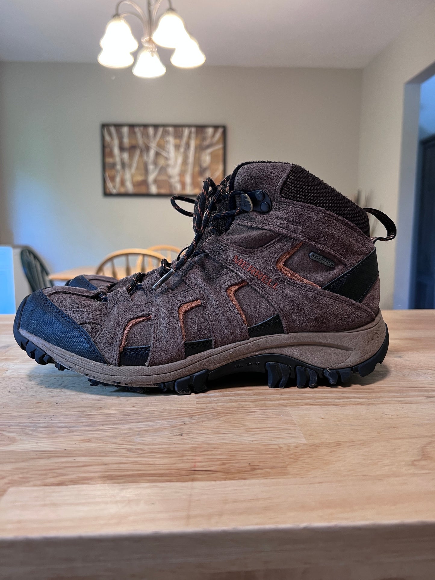 Merrell Moab Hiking Boots Men's 9