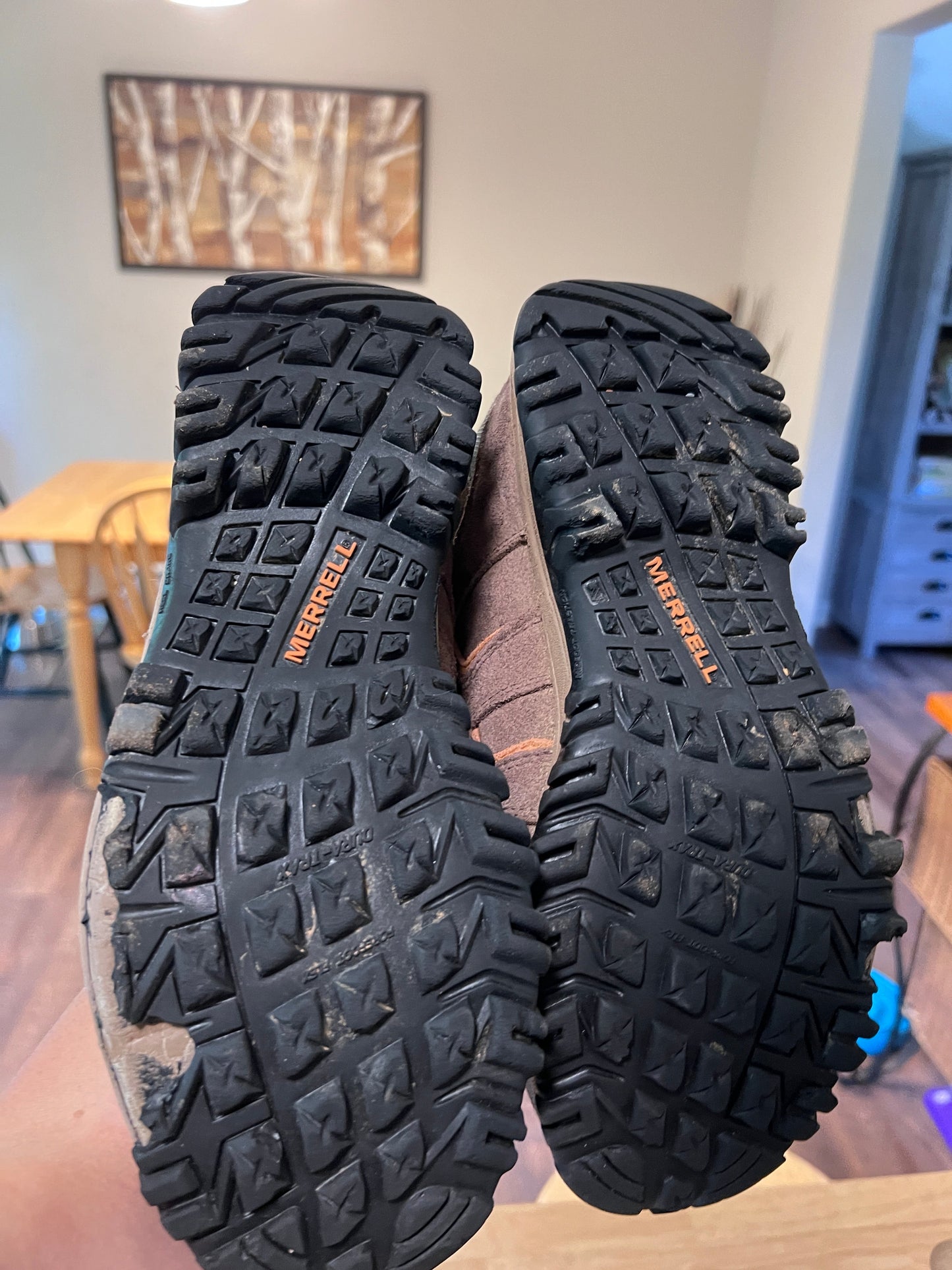 Merrell Moab Hiking Boots Men's 9