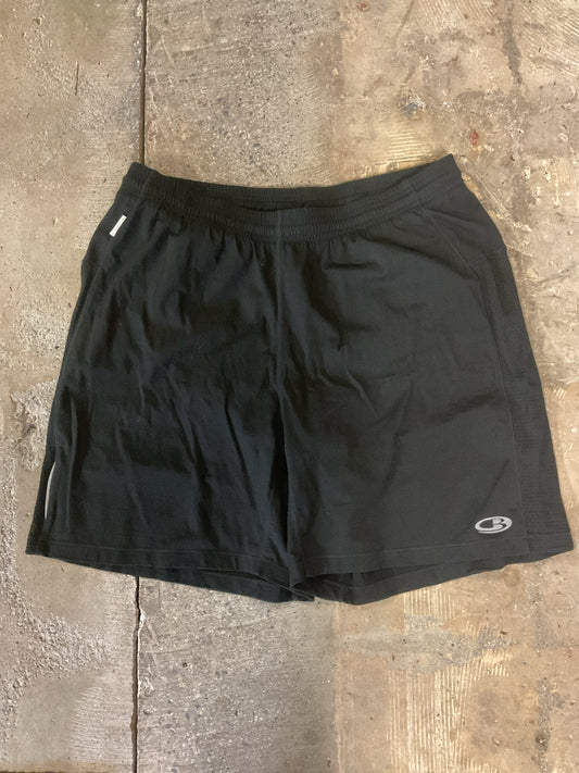 Icebreaker Shorts Men's L