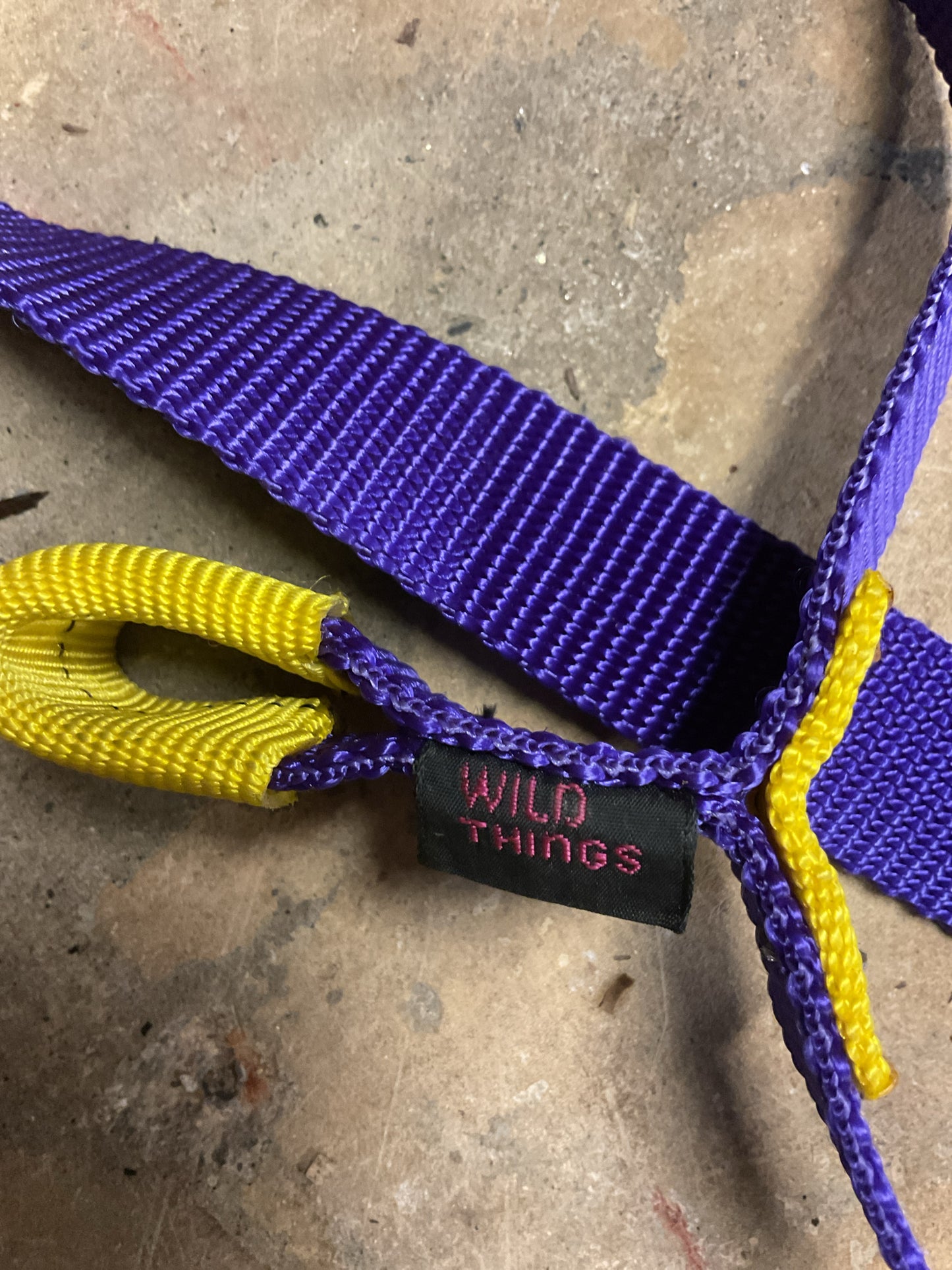 Wild Things Aid Ladder